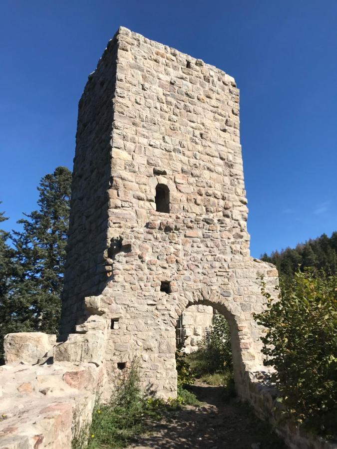 Landgasthof Alpenblick An Der Wutachschlucht Suedschwarzwald Леффінген Екстер'єр фото