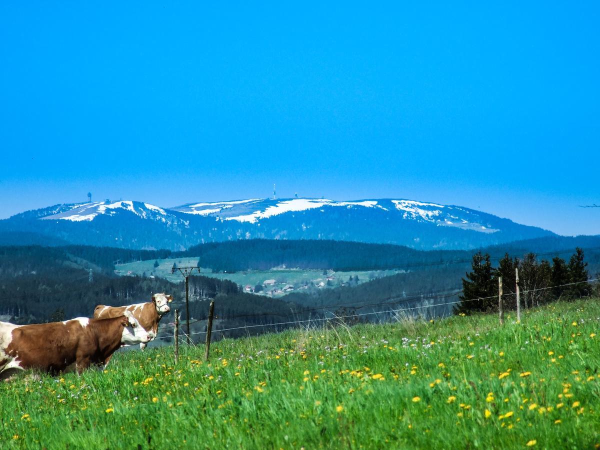 Landgasthof Alpenblick An Der Wutachschlucht Suedschwarzwald Леффінген Екстер'єр фото